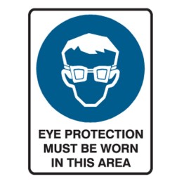 Eye Protection Must Be Worn in This Area Labels 55x90 SAV Pk5