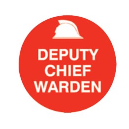 Hard Hat Speacialy Emblems - Deputy Chief Warden